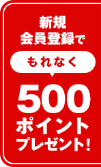 新規会員登録で今すぐ使える500ポイントプレゼント